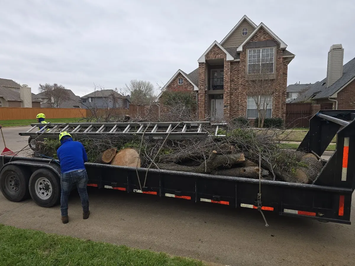 Expert Tree Pest Control with proper safety equipment in Dixmont